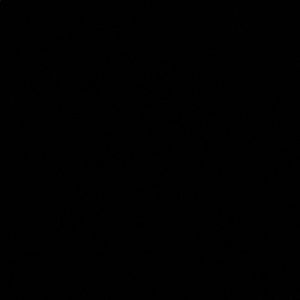 Meet your Posher, Ross